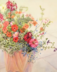 Pétunias, lobélias, impatientes et fuchsia dans un pot en terre cuite
